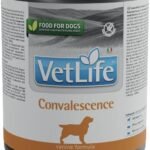Vet Life Dog - Convalescence Wet Food 300 g